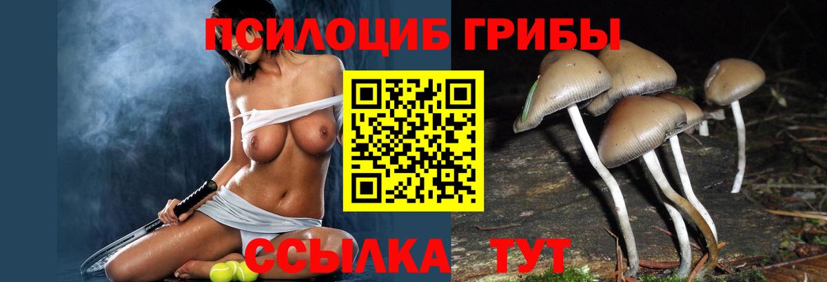Псилоцибиновые грибы мухоморы Канаш